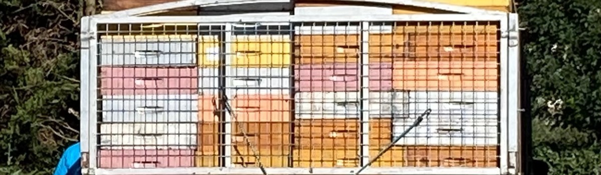 Bienenstöcke auf dem Weg zu den Blumenwiesen