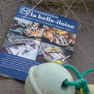 Iloise-Plakat Fischer-la-maison-de-florence.de